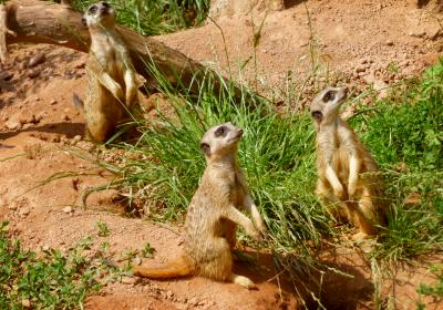 Zu Besuch im  Zoo Leipzig