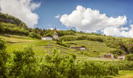 Urlaub Italien Reisen - Pustertaler Almabtrieb im schönen Südtirol