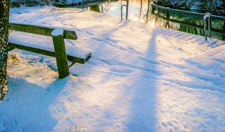 Urlaub Deutschland Reisen - Spreewald-Weihnacht