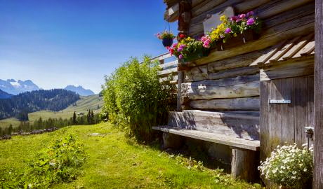 Urlaub Deutschland Reisen - Keiner weiß wohin… –  Überraschungsfahrt!