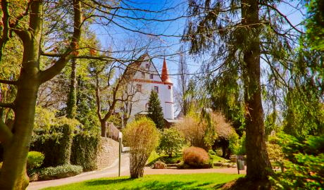 Frühlingserwachen am zauberhaftem Schloss Schlettau mit seinem verwunschenen Park