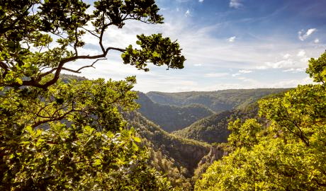 Urlaub Deutschland Reisen - Sagenhafter Harz