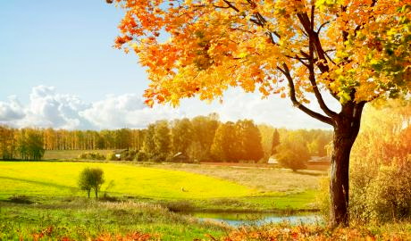 Urlaub Deutschland Reisen - Herbstimpressionen Erzgebirge