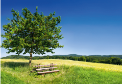 Urlaub Deutschland Reisen - Bad Muskau-Einkaufsfahrt
