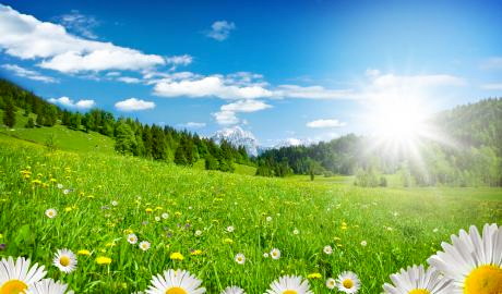 Urlaub Deutschland Reisen - Frühlingsfahrt  ins „Grüne“ Lassen Sie sich überraschen!