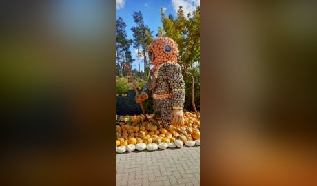 Kürbiszeit auf dem Erlebnishof in Klaistow Kürbiszeit auf dem Erlebnishof in Klaistow