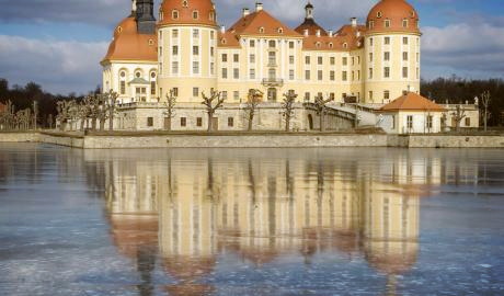 Urlaub Deutschland Reisen - Wildbret aus  Aschenbrödels Wäldern