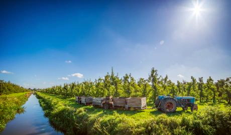 Urlaub Deutschland Reisen - Der vielfältige Norden,  von der Hanse zur Holsteinischen Schweiz & Altes Land