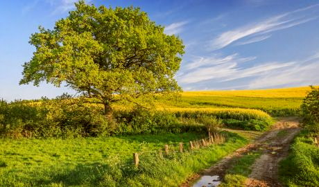 Urlaub Deutschland Reisen - Der vielfältige Norden,  von der Hanse zur Holsteinischen Schweiz & Altes Land