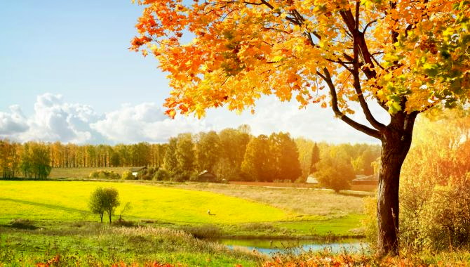 Urlaub Deutschland Reisen - Herbstimpressionen Erzgebirge