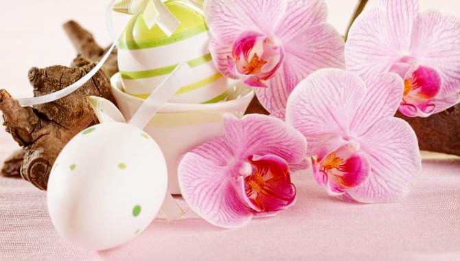 Urlaub Deutschland Reisen - Messe „Dresdner Ostern“ mit internationaler Orchideenwelt