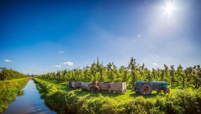 Urlaub Deutschland Reisen - Der vielfältige Norden,  von der Hanse zur Holsteinischen Schweiz & Altes Land