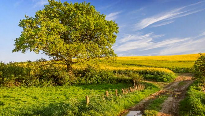 Urlaub Deutschland Reisen - Der vielfältige Norden,  von der Hanse zur Holsteinischen Schweiz & Altes Land