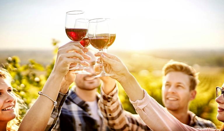 Schliebener Weinberge mit Weinkeller und Kahnfahrt im „Kleinen Spreewald