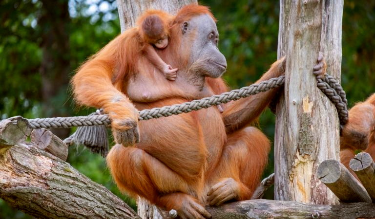 Zoo Leipzig